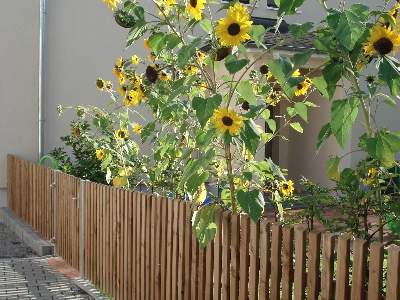 94_zaunausabgeschrgtenbrettern